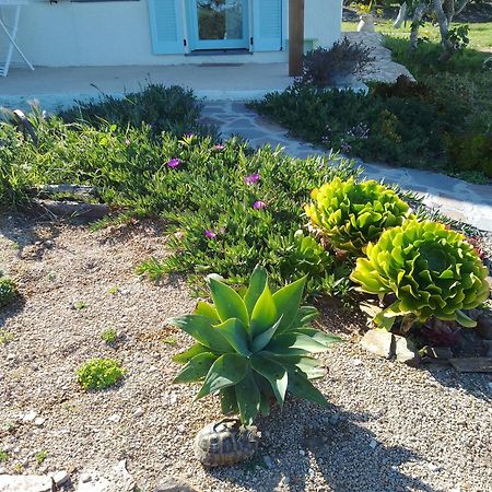Lispusada Agriturismo Adults Only Biancareddu ภายนอก รูปภาพ