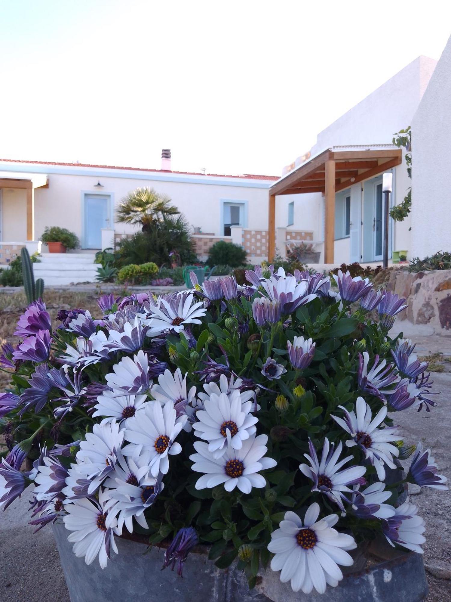 Lispusada Agriturismo Adults Only Biancareddu ภายนอก รูปภาพ
