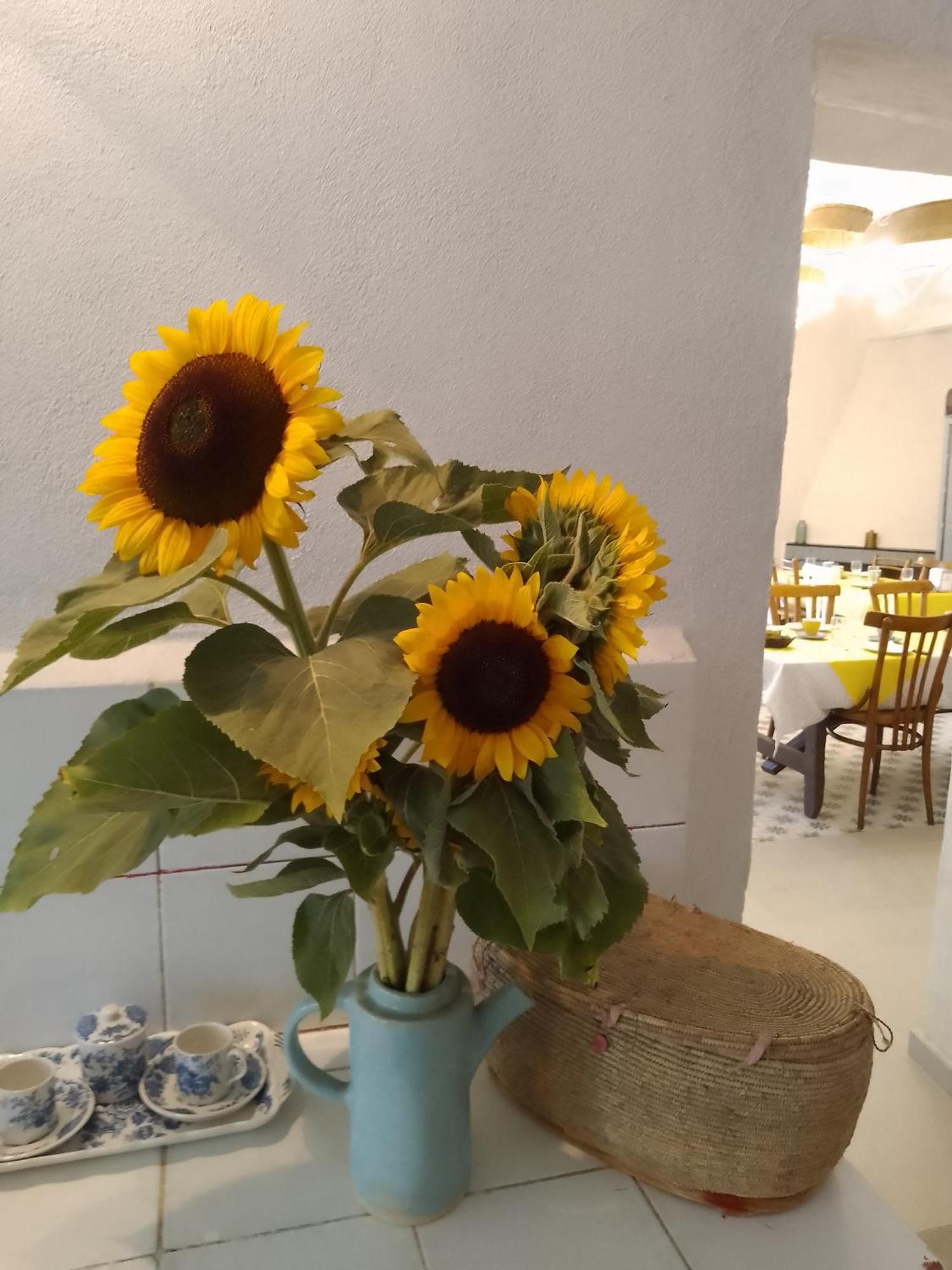 Lispusada Agriturismo Adults Only Biancareddu ภายนอก รูปภาพ