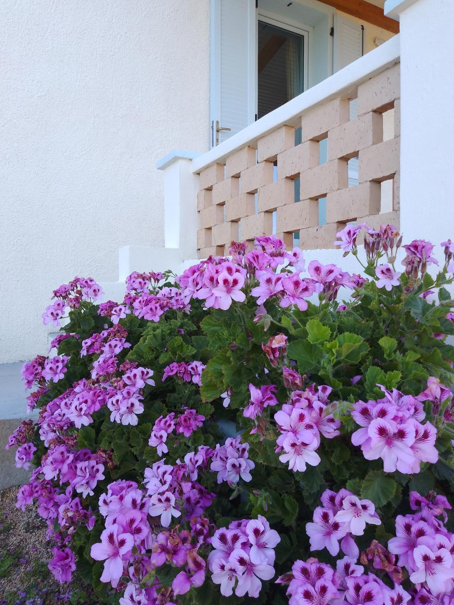 Lispusada Agriturismo Adults Only Biancareddu ภายนอก รูปภาพ