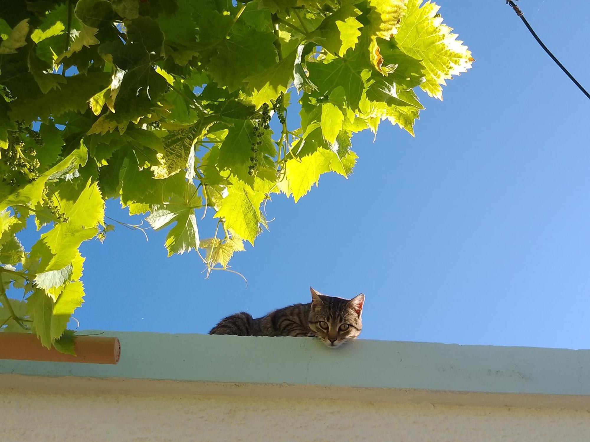 Lispusada Agriturismo Adults Only Biancareddu ภายนอก รูปภาพ