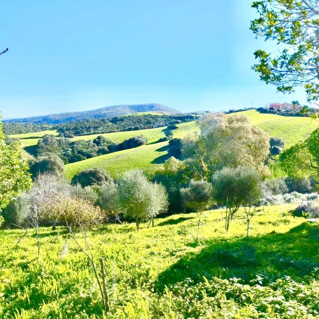 Lispusada Agriturismo Adults Only Biancareddu ภายนอก รูปภาพ