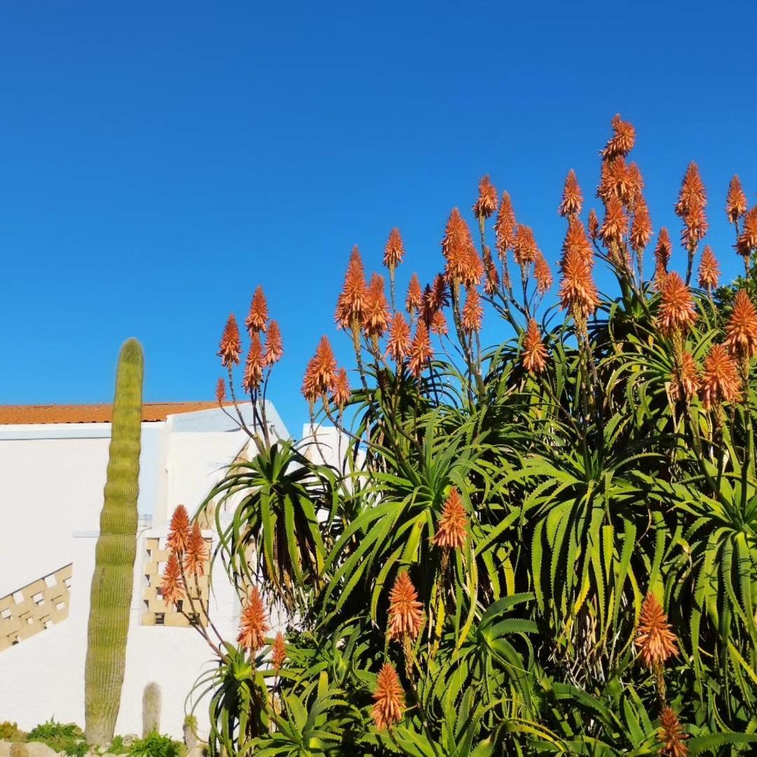 Lispusada Agriturismo Adults Only Biancareddu ภายนอก รูปภาพ